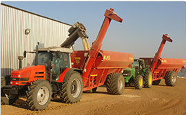 Grain Trading