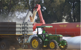 Grain Trading