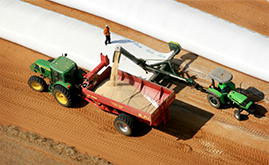 Grain Trading